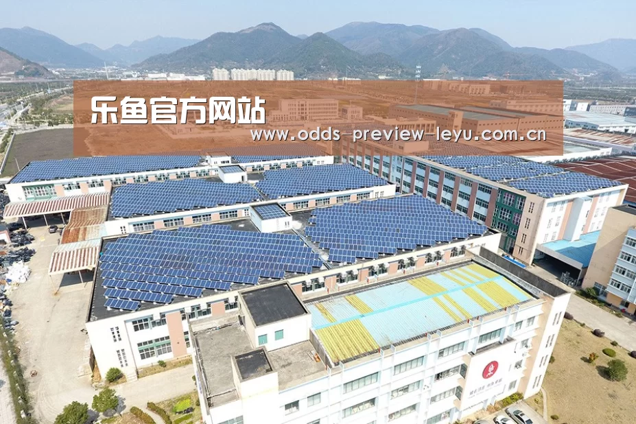 案例展示四