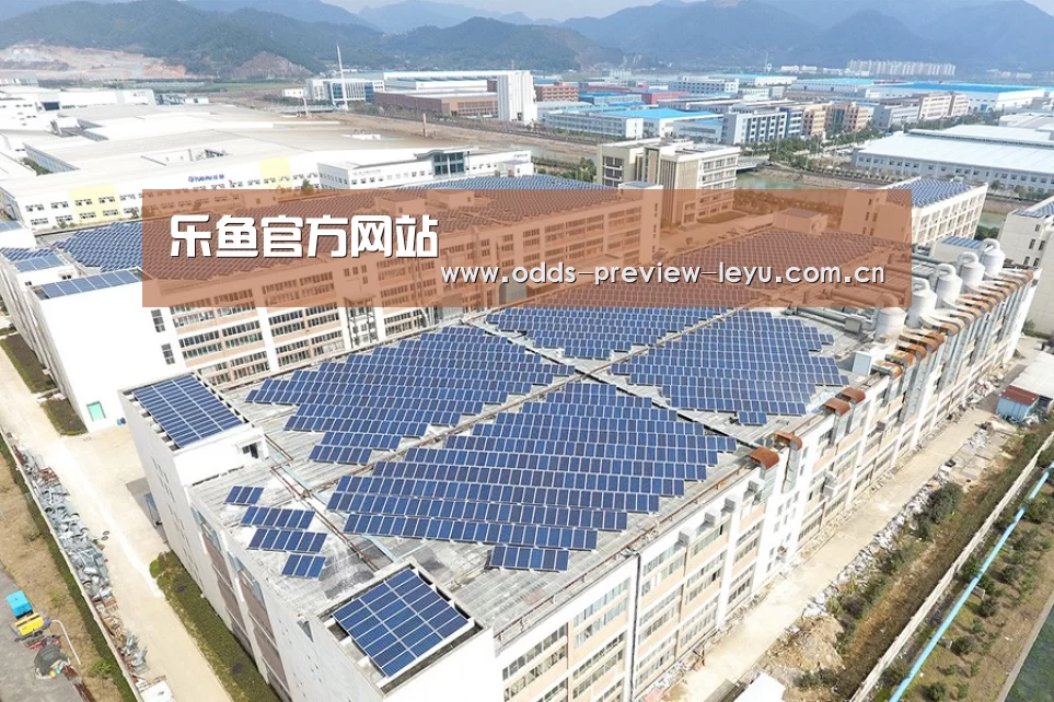 案例展示三